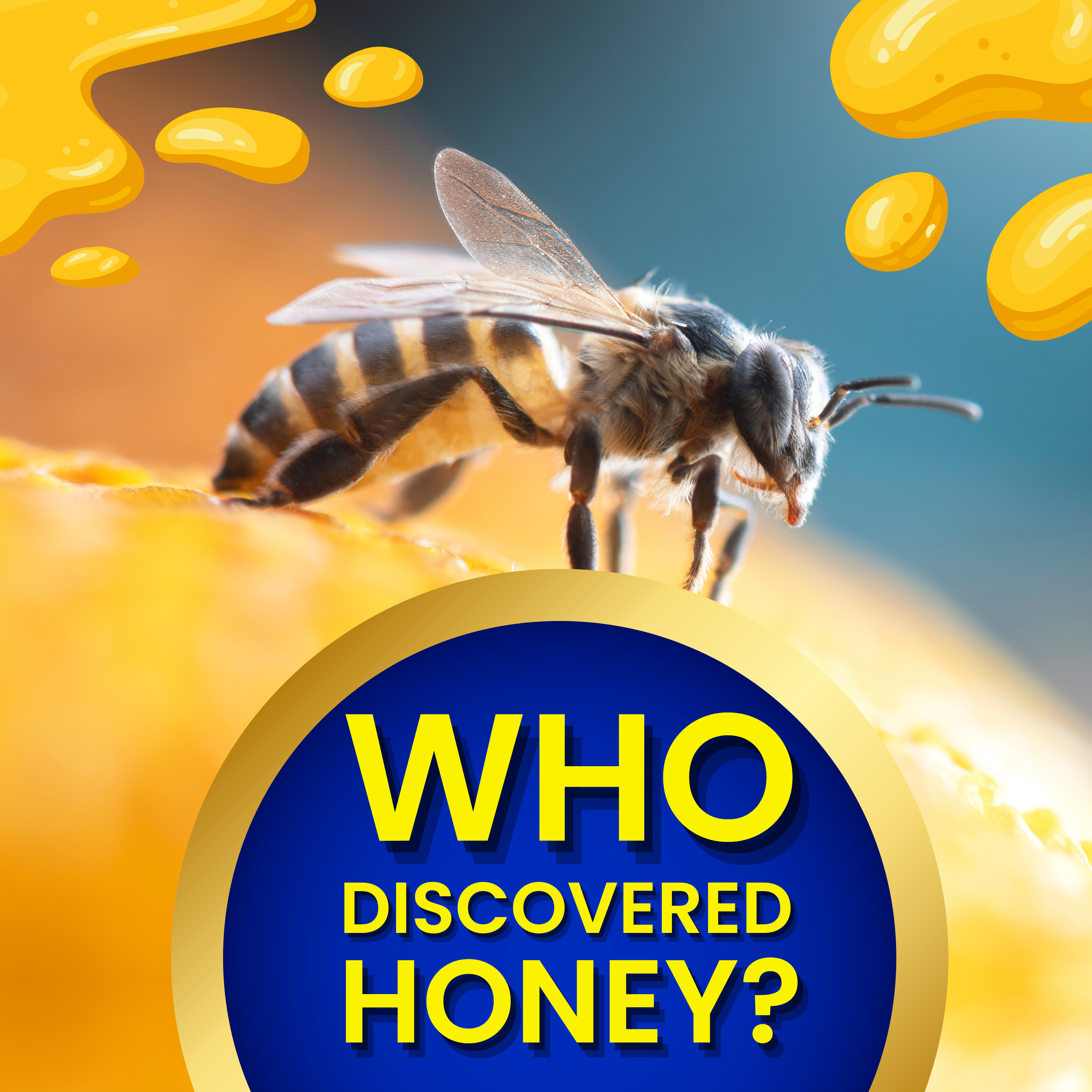 Who Discovered Honey? And How it Changed Humanity?